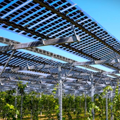 La Revolución Solar en la Viticultura